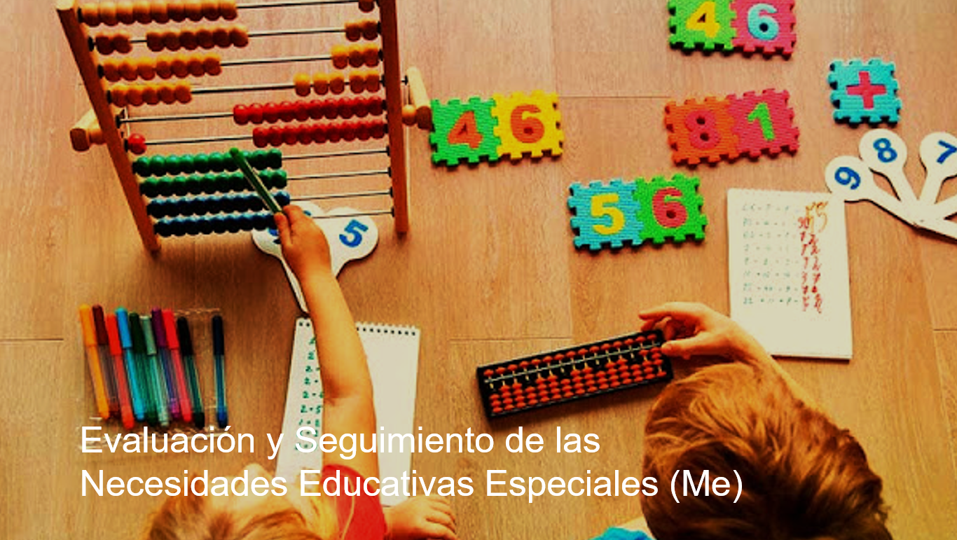 Evaluación y Seguimiento de las Necesidades Educativas Especiales (Me)