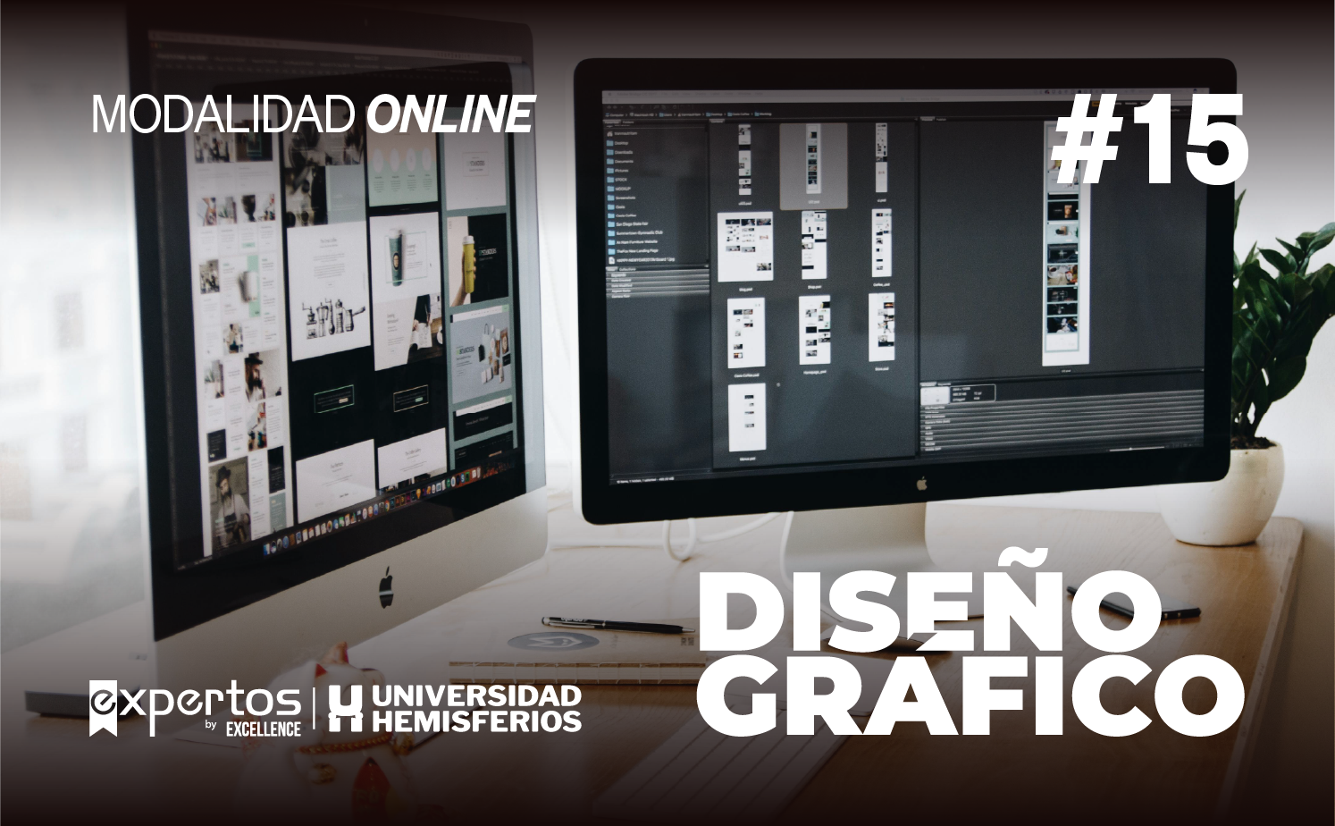 DISEÑO GRÁFICO 15 – Expertos by EXCELLENCE 