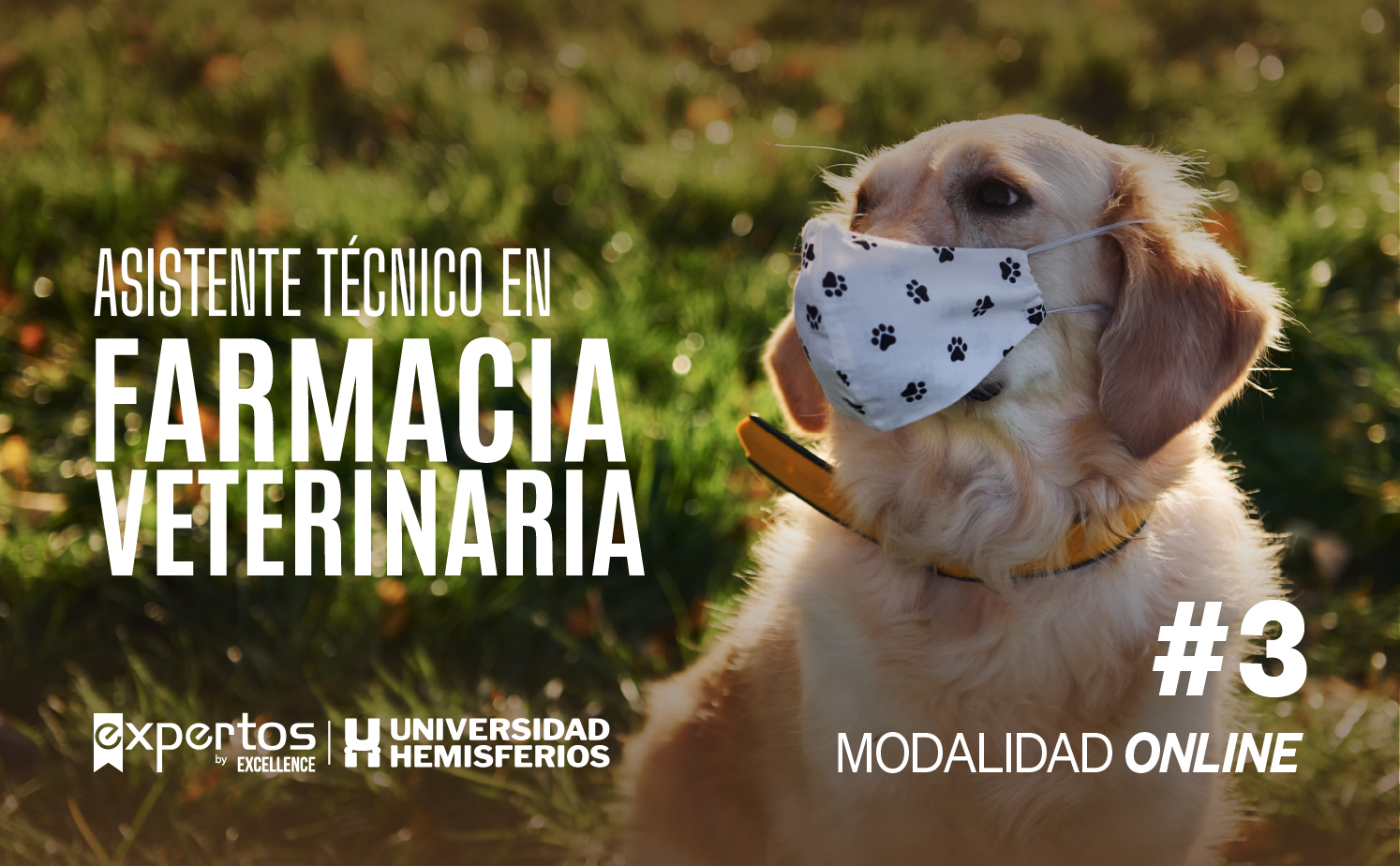 ASISTENTE TÉCNICO EN FARMACIA VETERINARIA 03 – Expertos by EXCELLENCE
