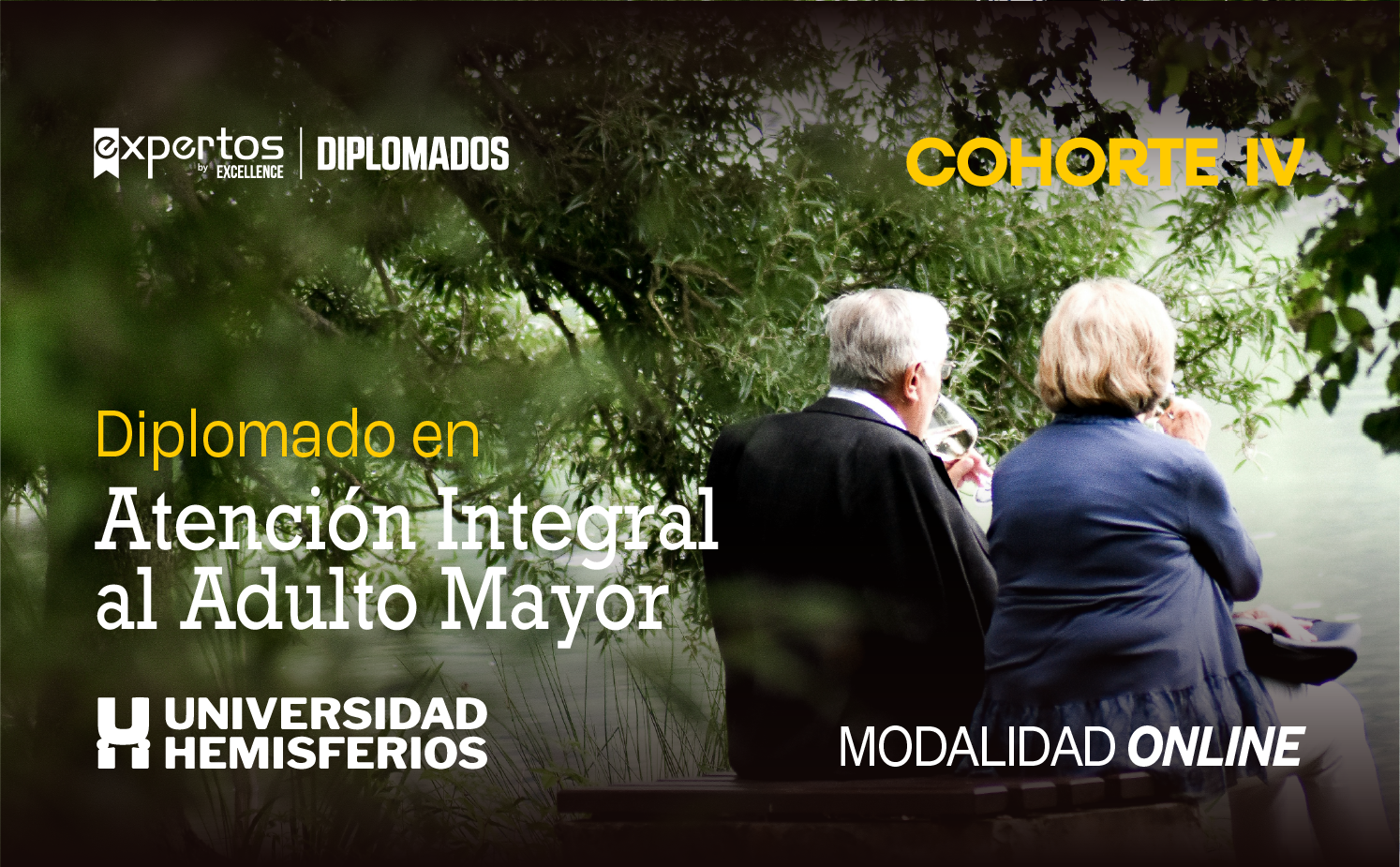 Diplomado en Atención Integral al Adulto Mayor - Cohorte 04