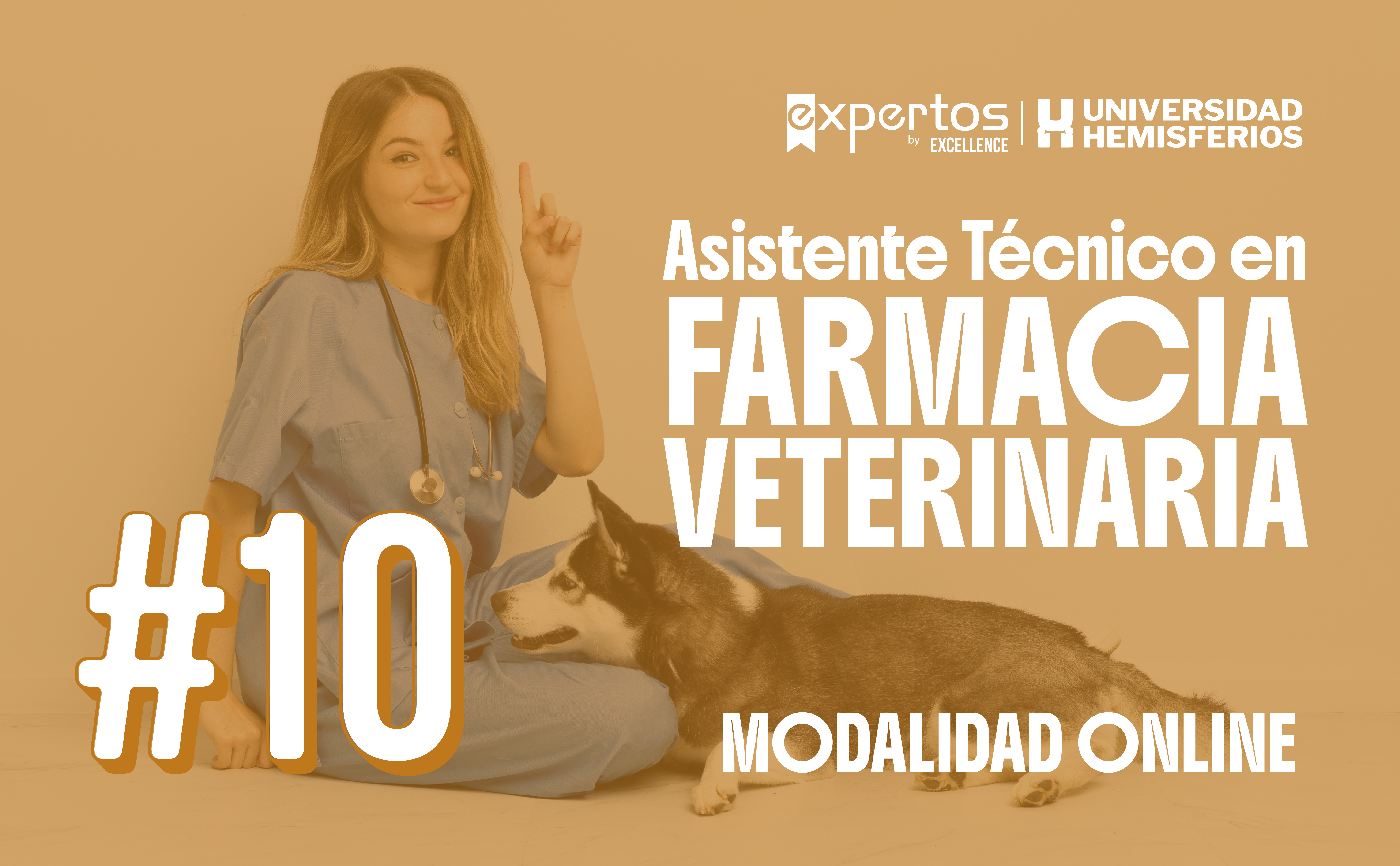  ASISTENTE TÉCNICO EN FARMACIA VETERINARIA 10 – Expertos by EXCELLENCE
