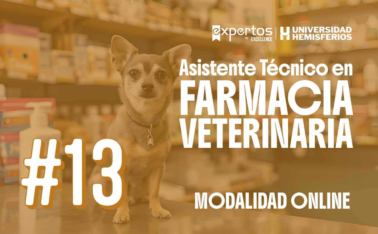 ASISTENTE TÉCNICO EN FARMACIA VETERINARIA 13 – Expertos by EXCELLENCE