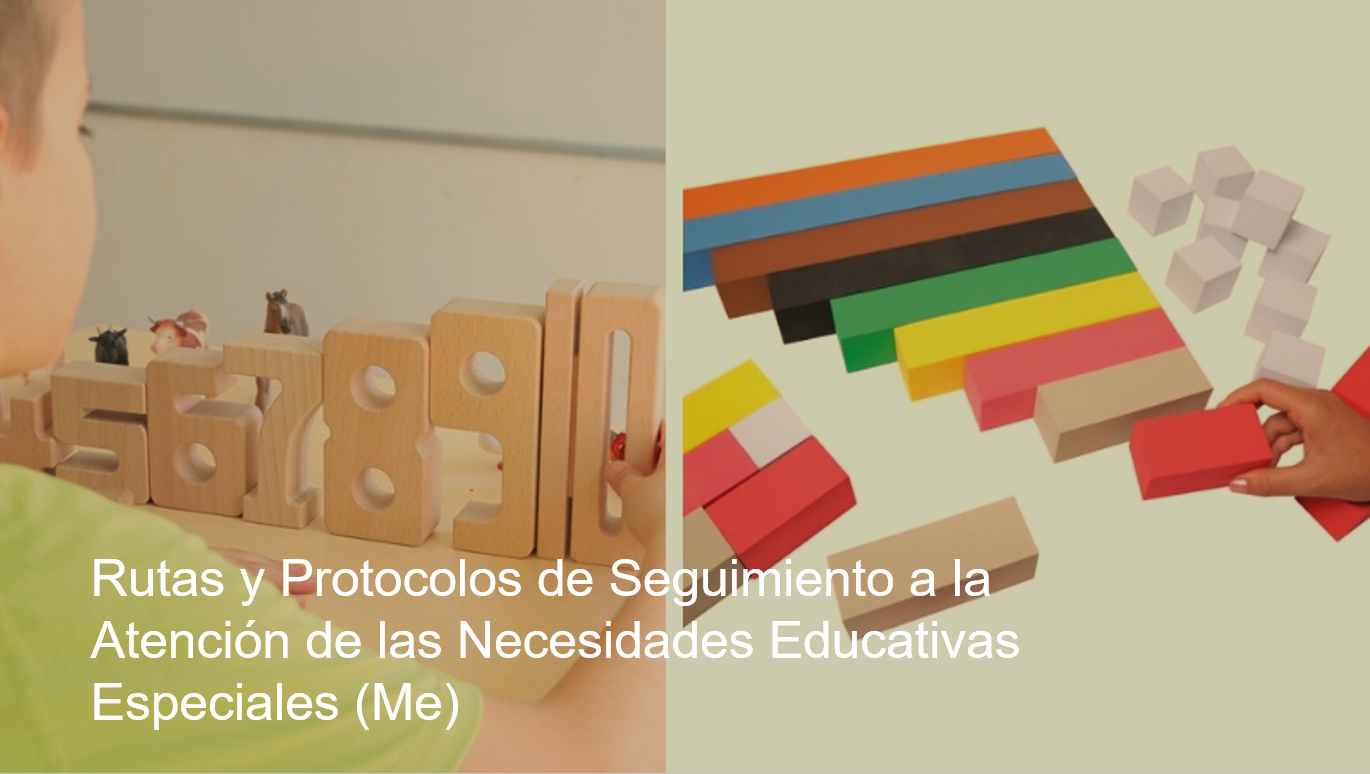 Rutas y Protocolos de Seguimiento a la Atención de las Necesidades Educativas Especiales (Me)