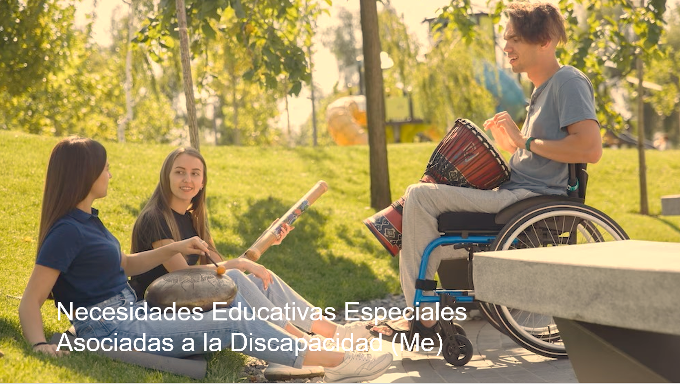 Necesidades Educativas Especiales Asociadas a la Discapacidad (Me)