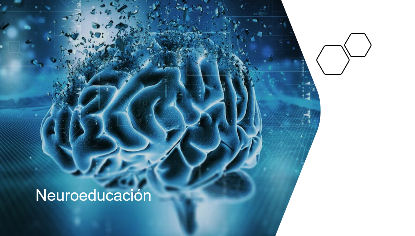 Neuroeducación