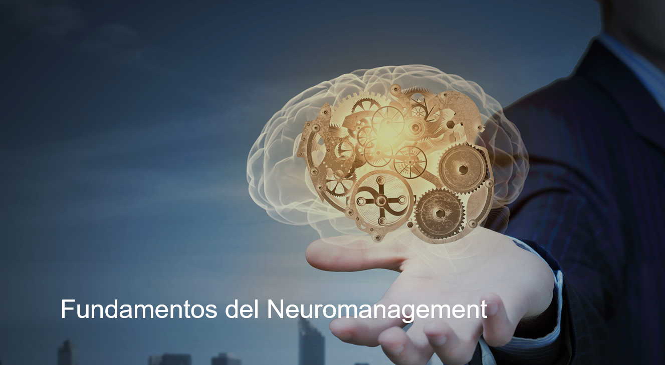 FUNDAMENTOS DEL NEUROMANAGEMENT