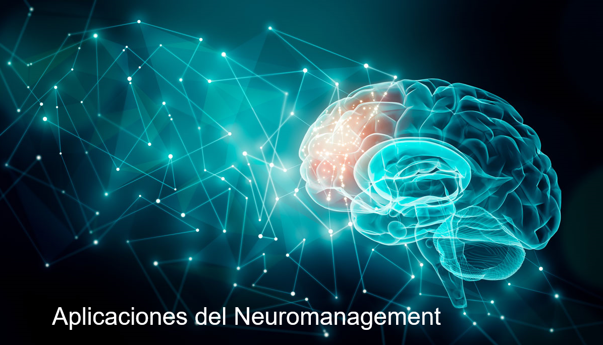 APLICACIONES DEL NEUROMANAGEMENT