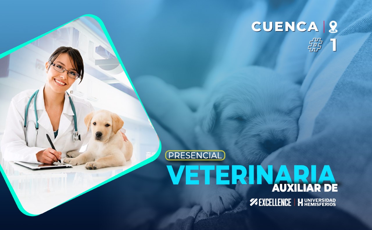  AUXILIAR TÉCNICO VETERINARIO #01 - CUENCA