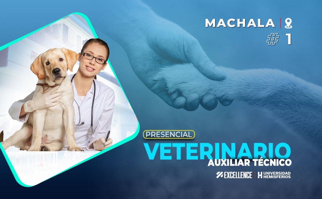 AUXILIAR TÉCNICO VETERINARIO #01 - MACHALA